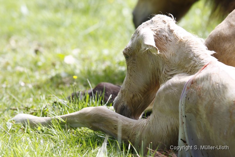 Hjoerdis 5 Min alt (3).JPG